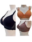 COMBO PACK 3 Pcs (Eva Girl Paded + Lyna Paded + T-Shirt Bra) 