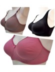 COMBO PACK 3 Pcs (Softy Bra  + T-Shirt Bra + Avni Sports) 